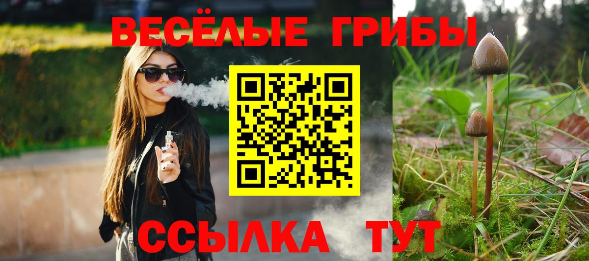 Алексеевка  Галлюциногенные грибы GOLDEN TEACHER  Вход с VPN  Псилоцибиновые грибы ЛСД 