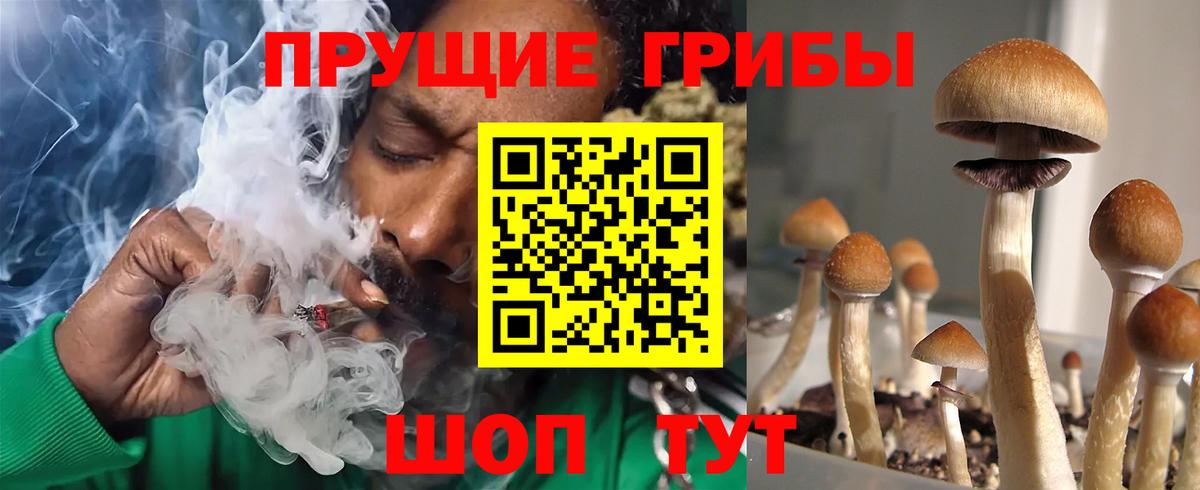 Псилоцибиновые грибы мицелий Алексеевка